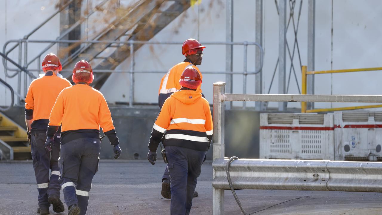 Workers from aSeven Point Pork abattoir at Port Wakefield this week. Picture: Brett Hartwig.