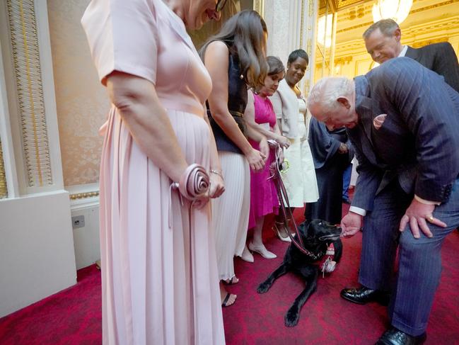 King Charles III greets Louise Thompson and her eight-year-old Labrador, Mercedes, during the celebration. Picture: Getty Images