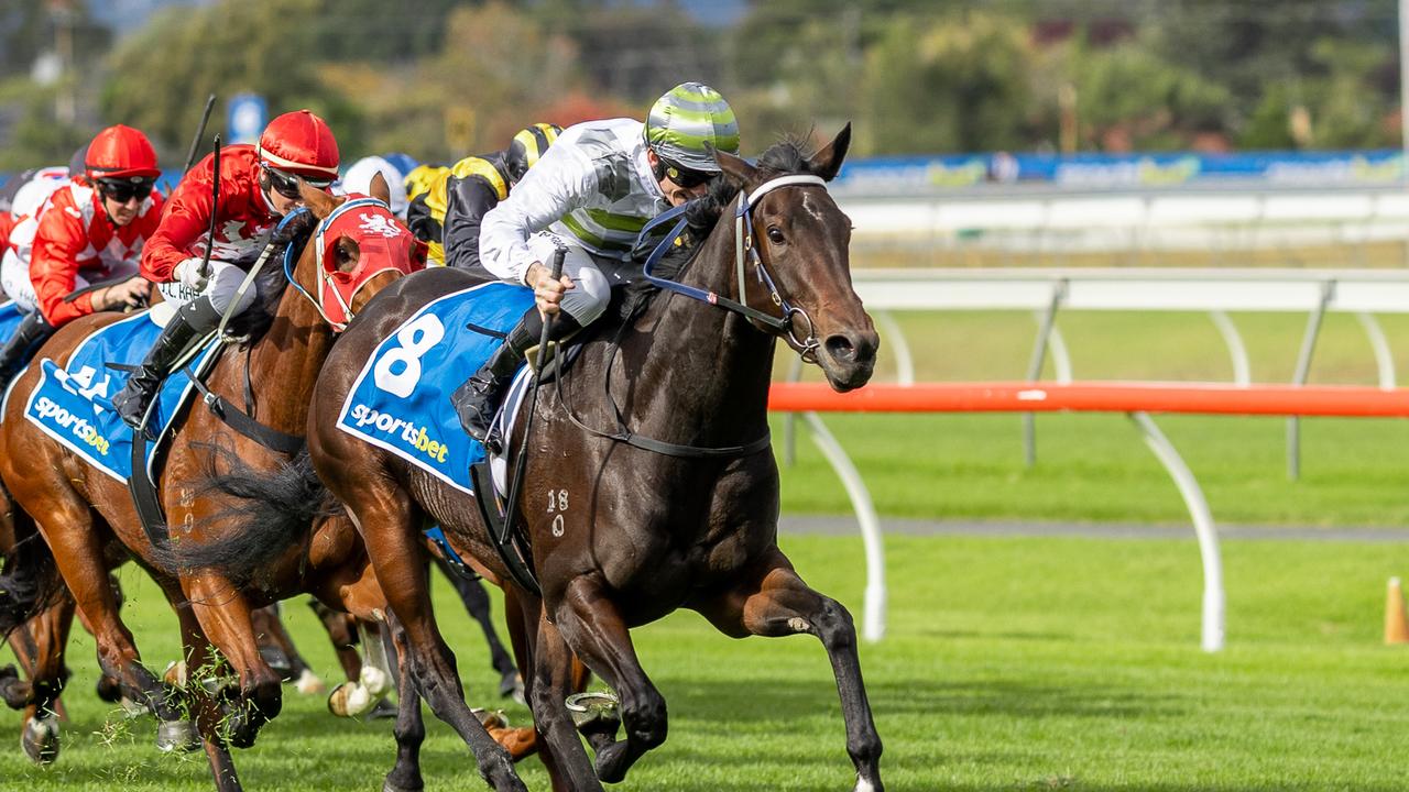 Skybird wins the Group 2 Tobin Bronze Stakes at Morphettville. Picture: Makoto Kaneko