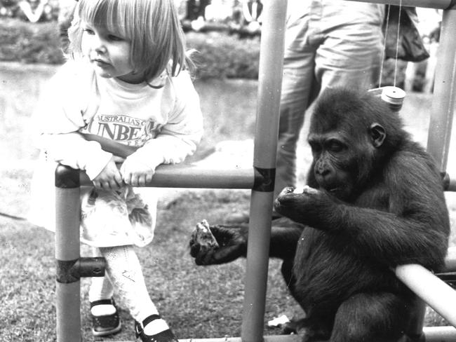 Mzuri celebrates his second birthday in 1986.