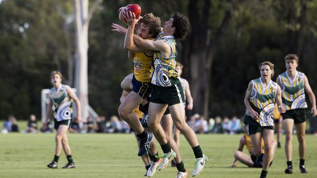 Scotch's Seb Crisafi takes a strong mark against Westminster. Picture: Emma Hoppo – Snap Shot Photography