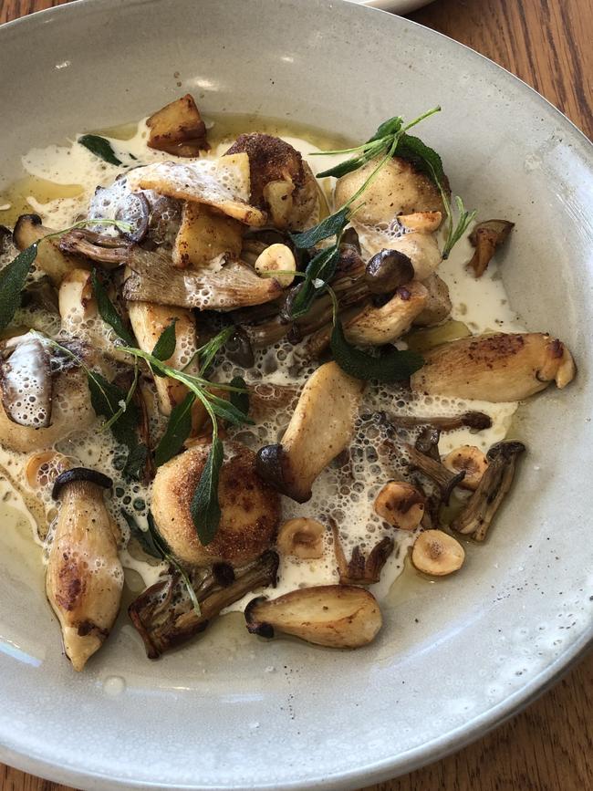 Ricotta gnudi, mushrooms, hazelnuts at Angove cellar door, McLaren Vale.