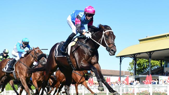 Astapor returned to his winning ways at Eagle Farm on Saturday. Picture: Grant Peters/Trackside Photography