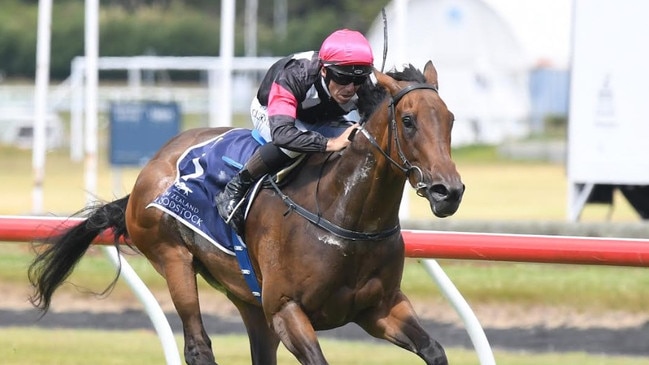 Ozzie Kheir has purchased NZ Oaks filly Leica Lucy. Picture: Peter Rubery/Race Images Palmerston North