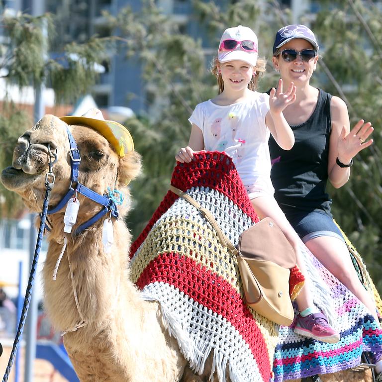 Sheree and Sophea Mason, 7, see the Show from a different view. Picture: Richard Gosling