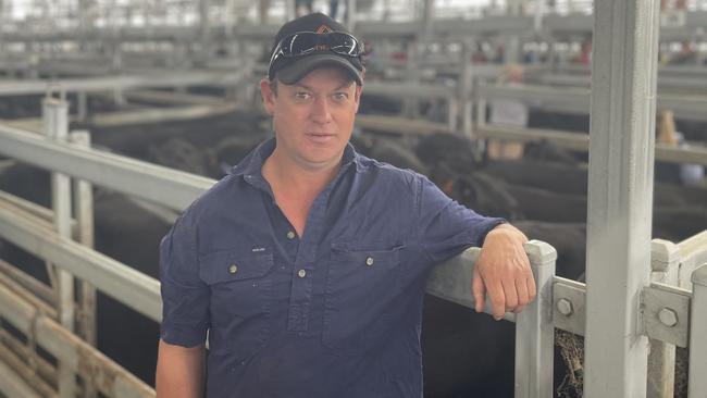 Local vendor Karl Britt from Dunnstown sold a large line of Angus steers and some heifers which topped at $2800 or 597c/kg for 13 steers at 469kg.