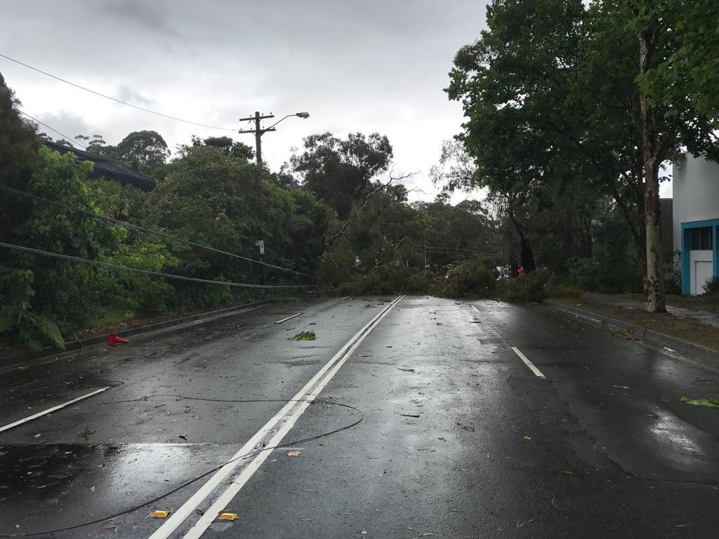 CASTLE COVE: Eastern Valley Way is closed in both directions at Boundary St due to a fallen tree &amp; wires. Use Boundary St, Pacific Hwy &amp; Gore Hill Fwy instead. Picture: Twitter / Live Traffic Sydney