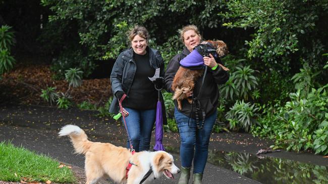 Million Paws Walk at Adelaide Botanic Gardens. Picture: Brenton Edwards