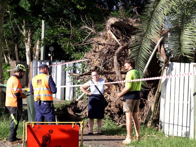 Storm Damage at 28 Gallipoli Rd, Camp Hill - on Thursday 16th January 2025 - Photo Steve Pohlner