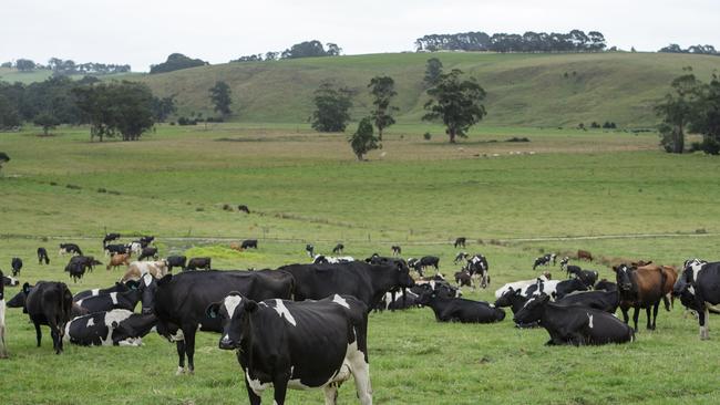 A class action by farmers against Fonterra was launched shortly after the 2016 price “clawback”. Picture: Zoe Phillips