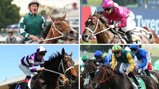 Key chances in Saturday's Verry Elleegant Stakes include (clockwise, from top left) Via Sistina, Fangirl, Ceolwulf and Lindermann.