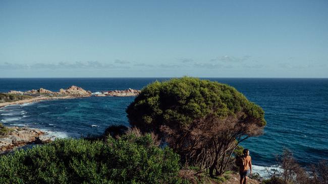 On the Cape to Cape track in Western Australia.