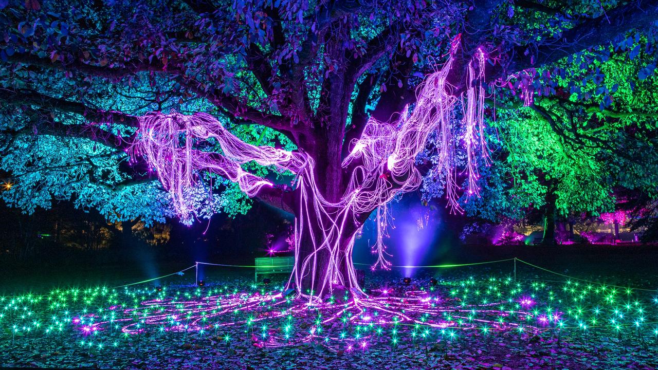 Toowoomba’s Queens Park to be transformed by Laservision’s Luna Light ...