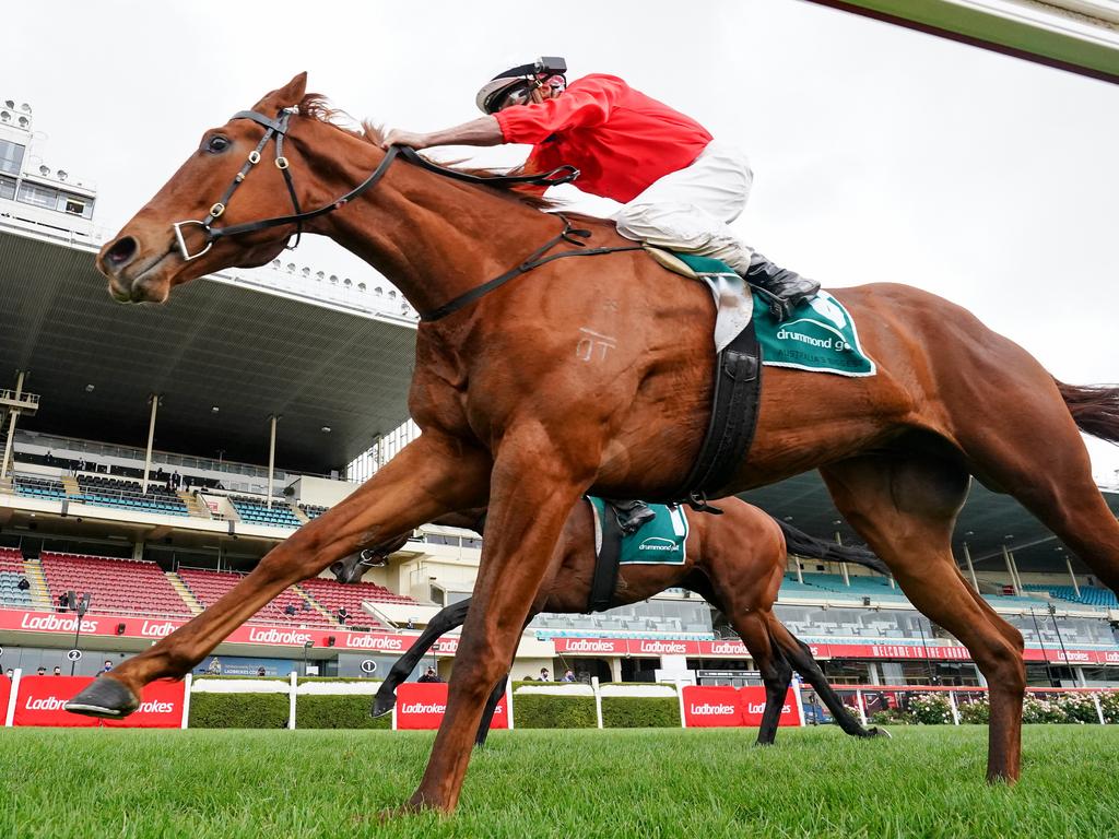 Cherry Tortoni ridden by Billy Egan.