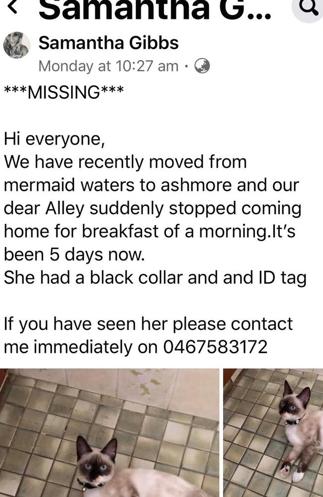 One of the Facebook posts about the missing cat from Ashmore.