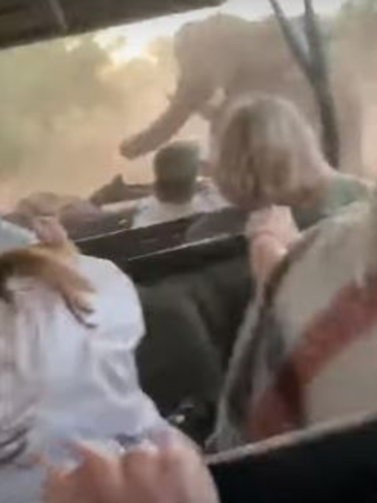 The tourists can be panicking as the male elephant charges towards a safari tour inside a Jeep.