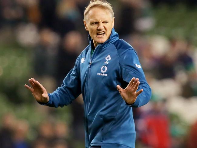 Ireland's coach Joe Schmidt checks out pitch conditions ahead of the rugby union test match between Ireland and New Zealand at the Aviva stadium in Dublin on November 17, 2018. (Photo by Paul FAITH / AFP)