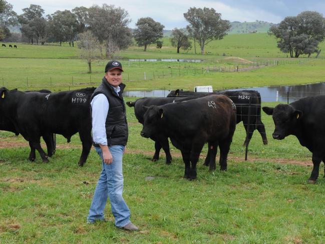 Ireland Angus bull sale Corey Ireland with some of the sale bulls.