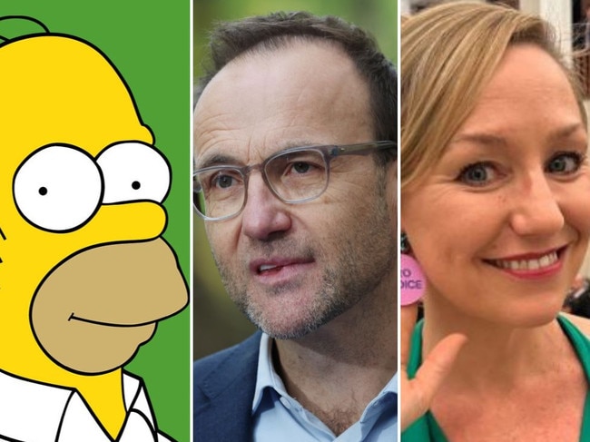 Homer Siimpson, Adam Bandt and Larissa Waters