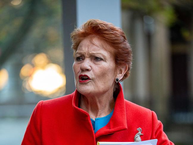 How much power does Pauline Hanson’s party have? Picture: NCA NewsWire / Christian Gilles