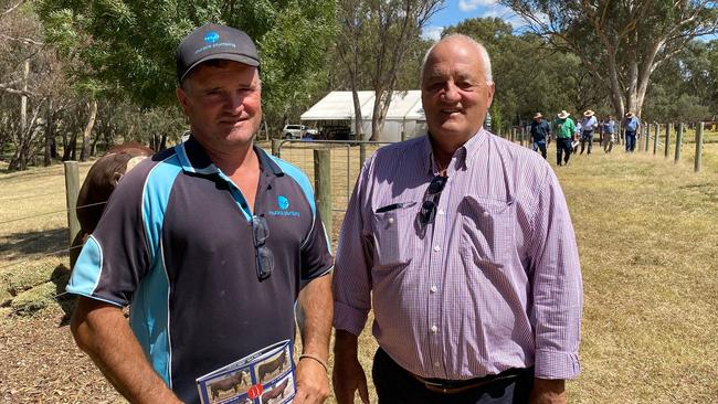 Paul and Joe Maraca from Whorouly were keen to buy bulls at Injemira