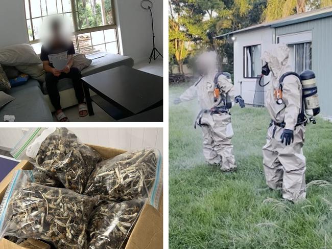 A man from NSW has been charged after raids on two Logan properties uncovered an alleged commerical-scale magic mushrooms operation.