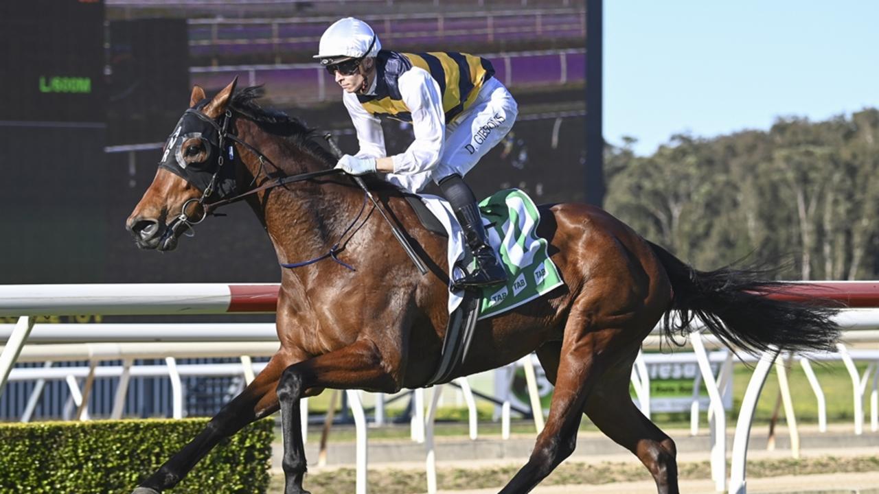 Hawkesbury, Muswellbrook tips Thursday: $2.90 best bet