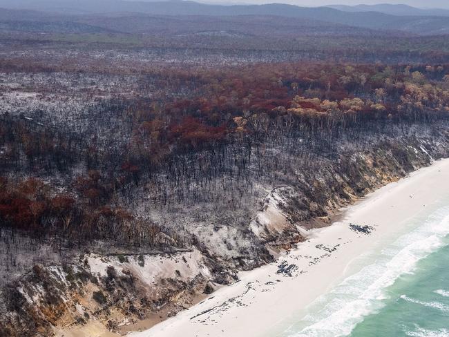 Fires on Fraser Island burnt out of control with adverse conditions over many weeks. Picture: NCA NewsWire /John Wilson