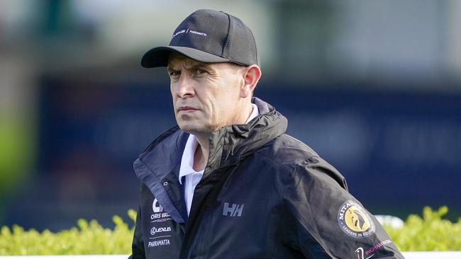 Trainer Chris Waller can open the day on a winning note with Diaco. Picture: Getty Images