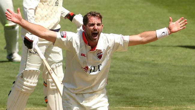 HOWZAT: Chadd Sayers appeals for the wicket of Victoria’s James Pattinson at the MCG last week. Picture: Hamish Blair (AAP).