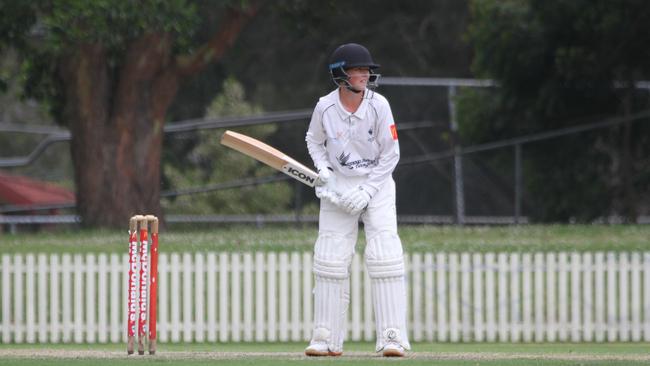 Ethan Anderson, a member of the Western Suburbs Cricket Club 2020/21 Green Shield squad