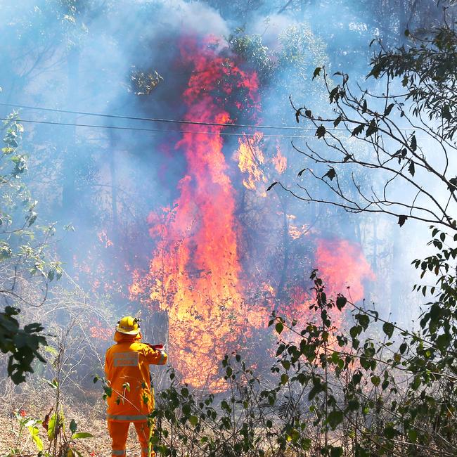 Firefighters brace for the worst as fires continue to burn in the Canungra and Sarabah regions. Picture: Nigel Hallett