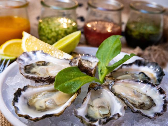 Oysters from Silvester's. Picture: Jenifer Jagielski