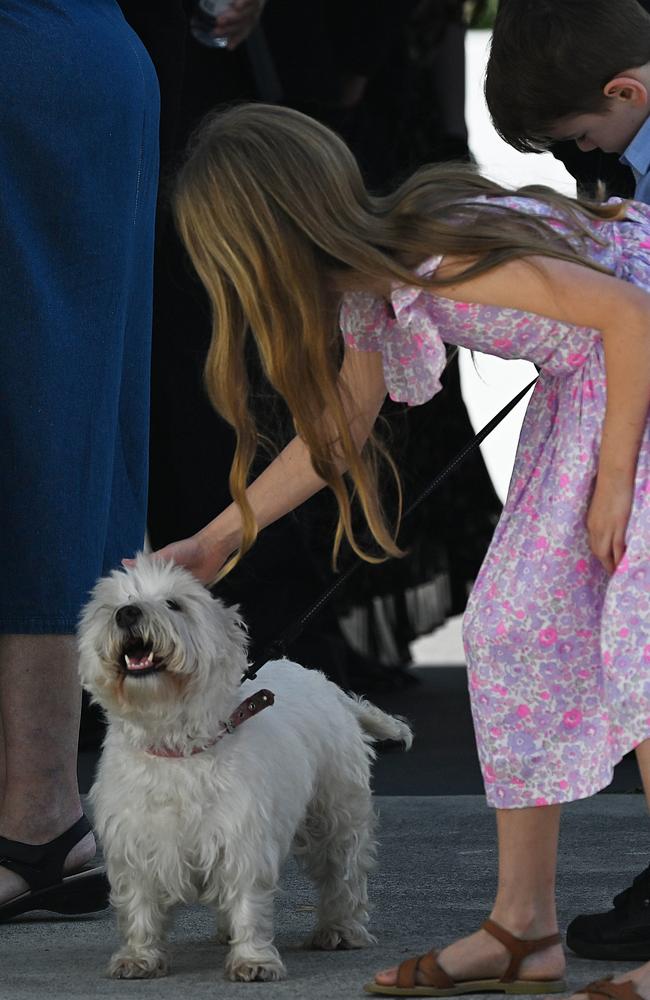 Mr Morley’s pet dog Millie at the service. Picture: Lyndon Mechielsen/Courier Mail