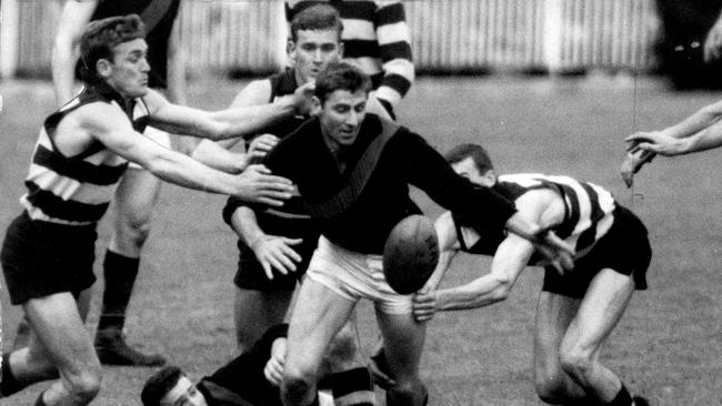 1962. Geelong v Essendon. Hugh Mitchell as he is grabbed by three Geelong players (from Left) Stewart Lord, Alistair Lord and Paul Vinar. Mitchell had just jumped over fallen teammate Russell Blew to get to the ball.