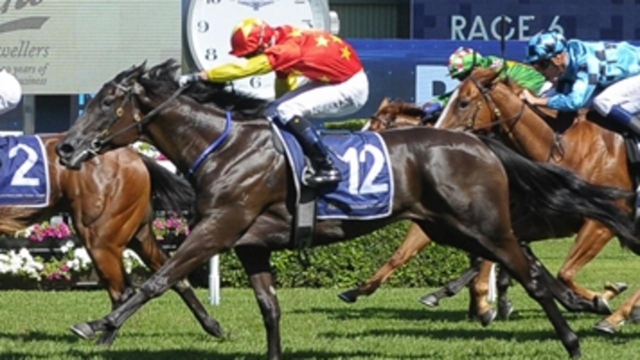 Autumn Bloom an kick off her three-year-old campaign with a win at Hawkesbury on Thursday. Picture: Bradley Photos.