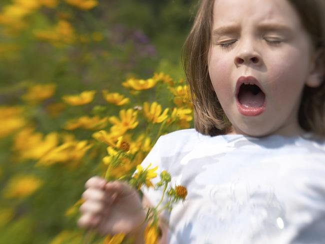 Dr Lampugnani said Melbourne is one of the areas in Australia with more grass pollen than usual. Picture: iStock