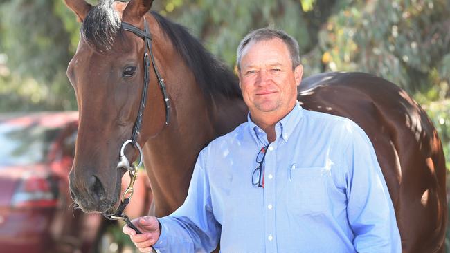 Tony McEvoy buys Sizzling colt for Win A Share In A Racehorse ...