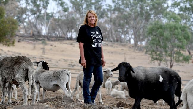 Kym Henley from Freedom Hill Sanctuary at her Harrogate property on January 10, 2020. Picture: AAP/Sam Wundke