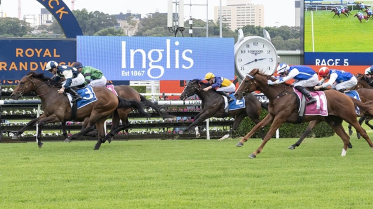 Nymphadora (dark blue and white, No.11) storms home from last to finish third behind Odinson in the Inglis Nursery. Picture: Bradley Photos