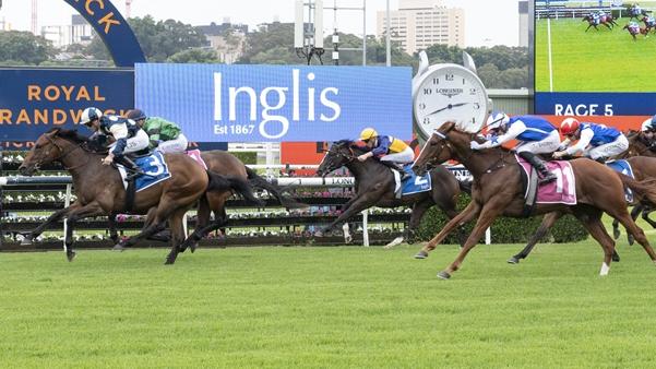 Nymphadora (dark blue, white sleeves) storms home from last to finish third behind Odinson in the Inglis Nursery. Picture: Bradley Photos