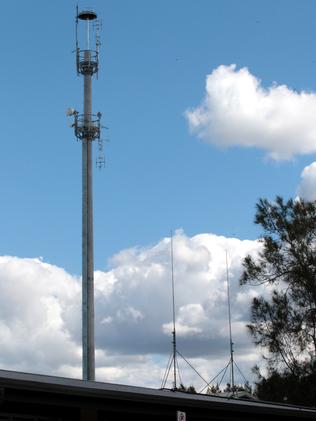 Rare osprey chick hatched on top of 35m tower at Gosford Council’s ...