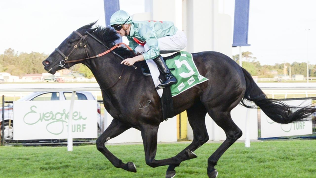 Hawkesbury preview: Fugitiva to make light work of latest test