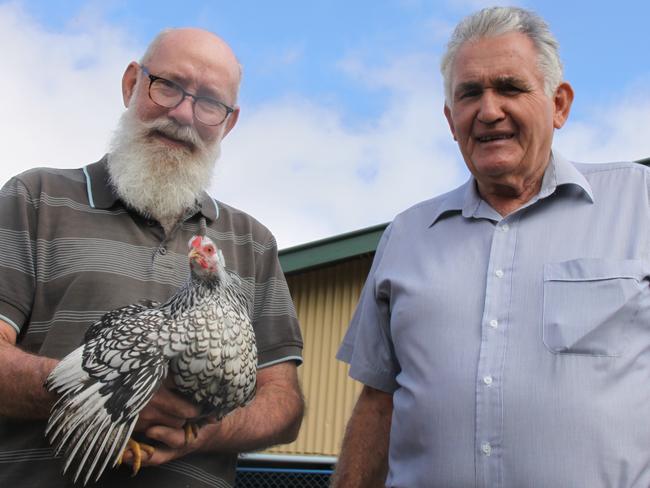 Lismore Poultry Club's auction coordinator Greg Clarke and president John Gibson are thrilled that their poultry auction on Saturday is attracting interest f backyard chook lovers as well as serious show bird enthusiasts.  Photo: Alison Paterson