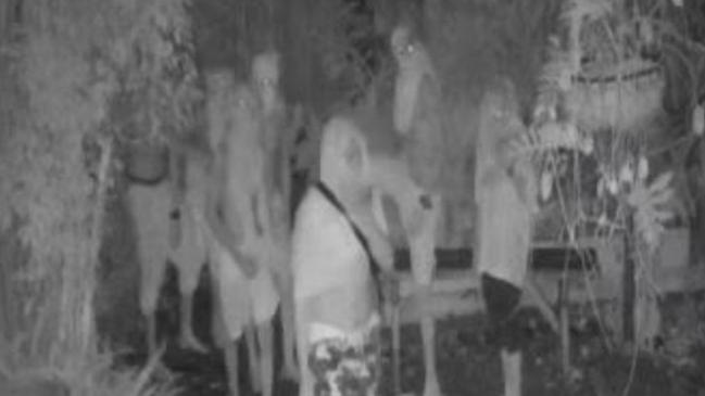 A group of youths caught on CCTV cameras outside the Kuranda Heritage Markets on Monday night. Picture: Melissa Pancirov