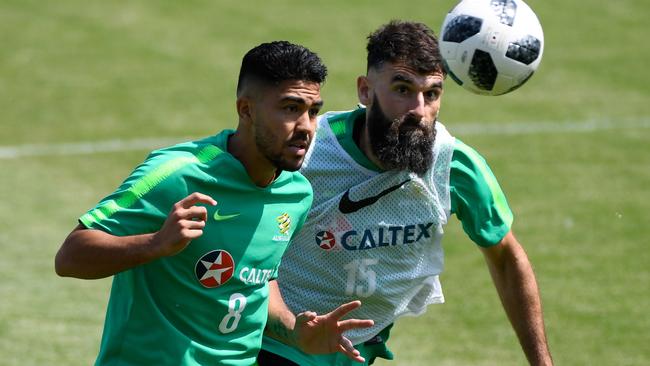 Luongo or Jedinak to take on Denmark? (AFP Photo)