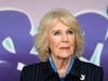 Camilla struck down by Covid again