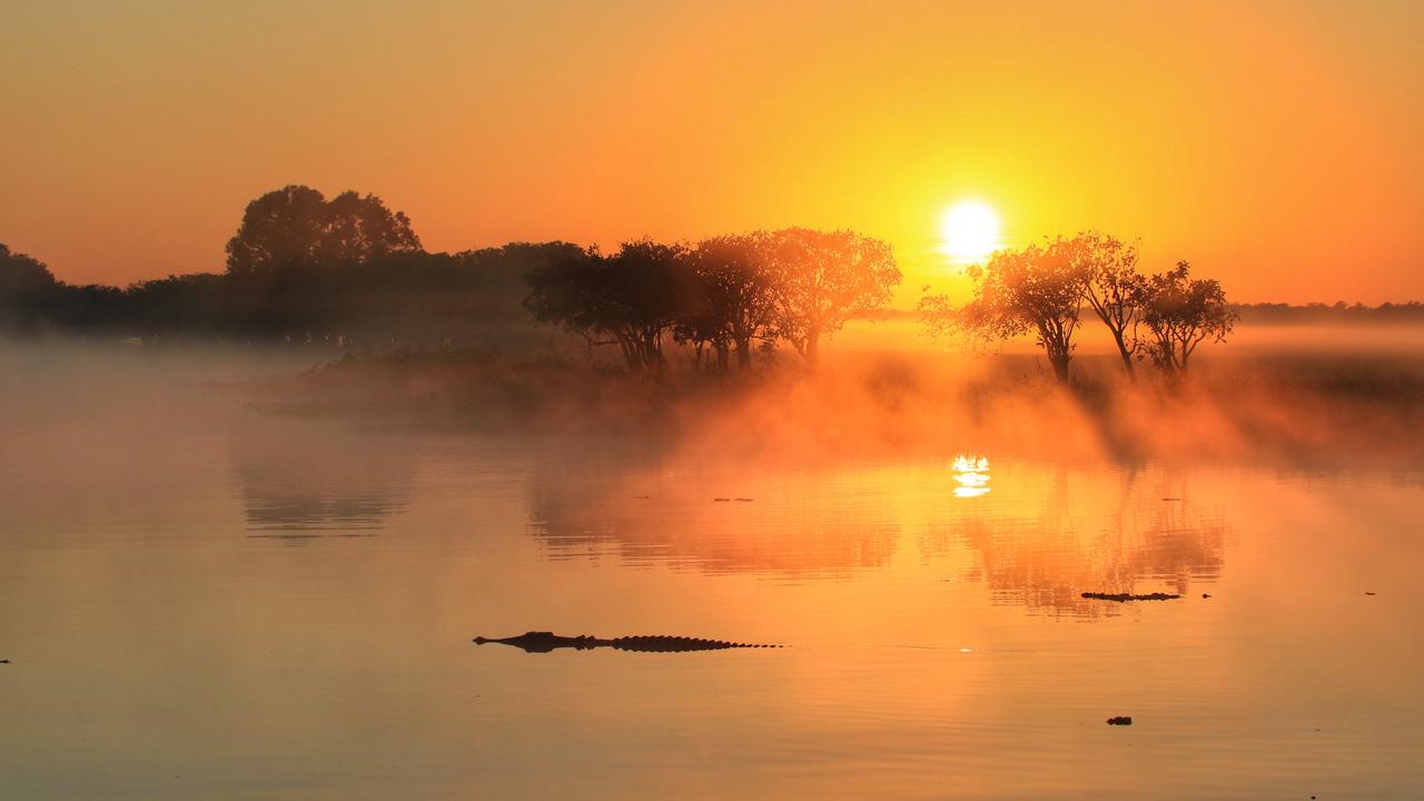 A Yellow Waters croc in Kakadu as photographed by @KellyDixon