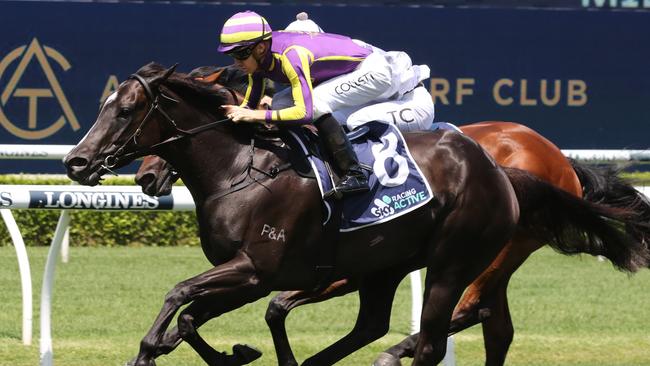 Mabel is looking for a first-up win at Warwick Farm. Picture: Grant Guy