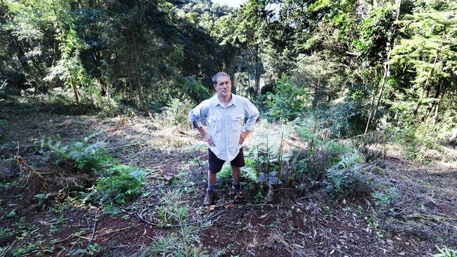 Adam Morton surveys the rewgrowth after the damage done to the area. Picture Glenn Hampson